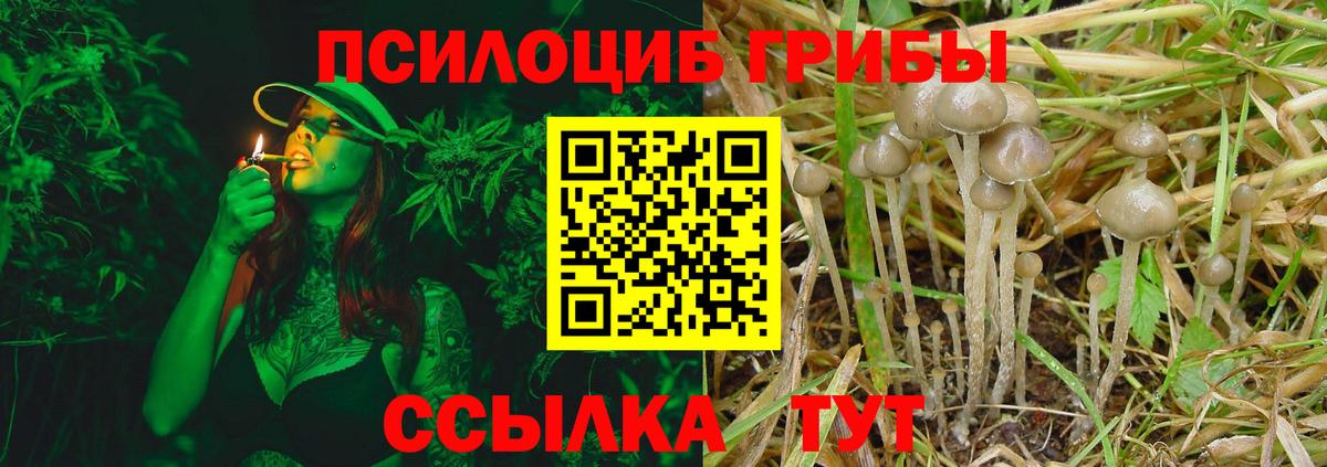 Галлюциногенные грибы прущие грибы  Вход с VPN  Кинель 